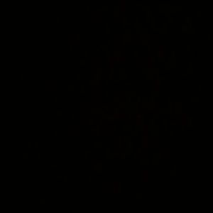 Meet your Posher, Deanna